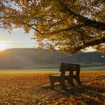 Mindful Breaks You Can Take in Five Minutes to Refresh Your Day
